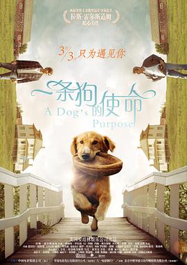 神马一区二区影院